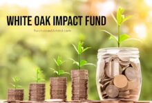 white oak impact fund